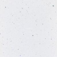 Kuchynská doska rohová 90r/38 mm white andromeda