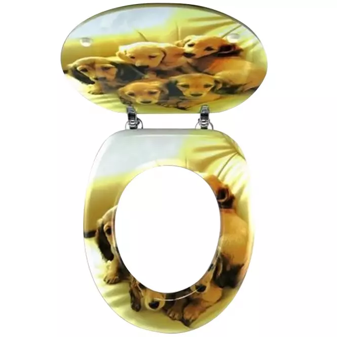 WC Doska Stenata,2