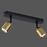 Stropné bodové svietidlo Top black/gold 3303 LS2
