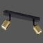 Stropné bodové svietidlo Top black/gold 3303 LS2