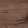 ušľachtilý textový dub