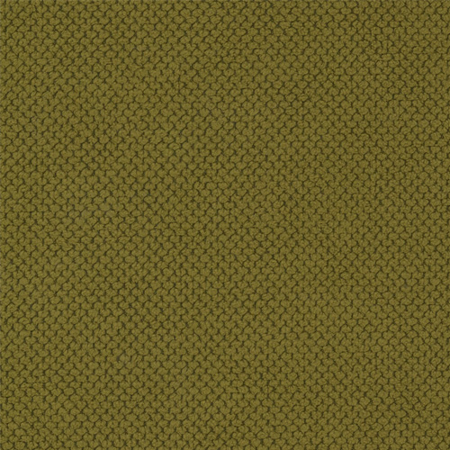 CURIO-35