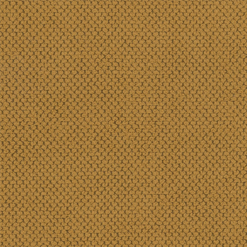CURIO-48