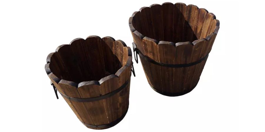 Môže ananás naozaj rásť v byte?