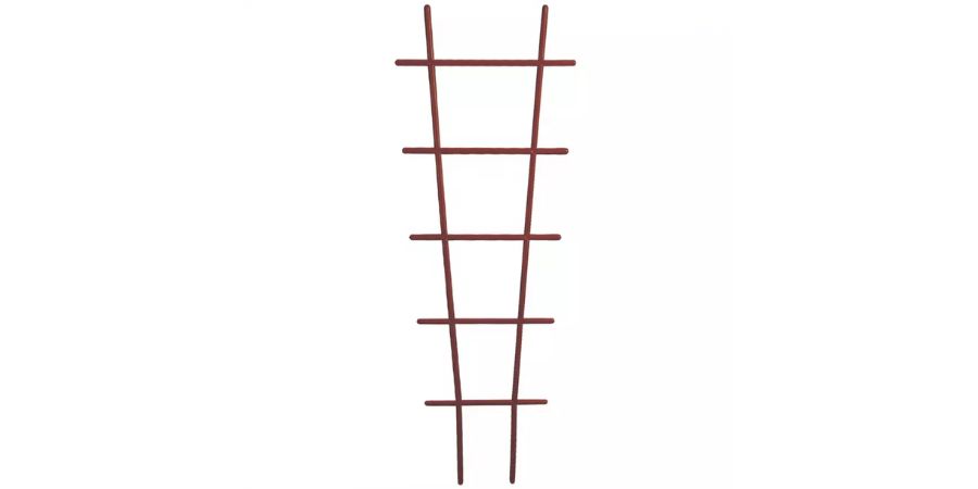 Ako vybrať odrody a farbu pre oporu a miesto v záhrade?