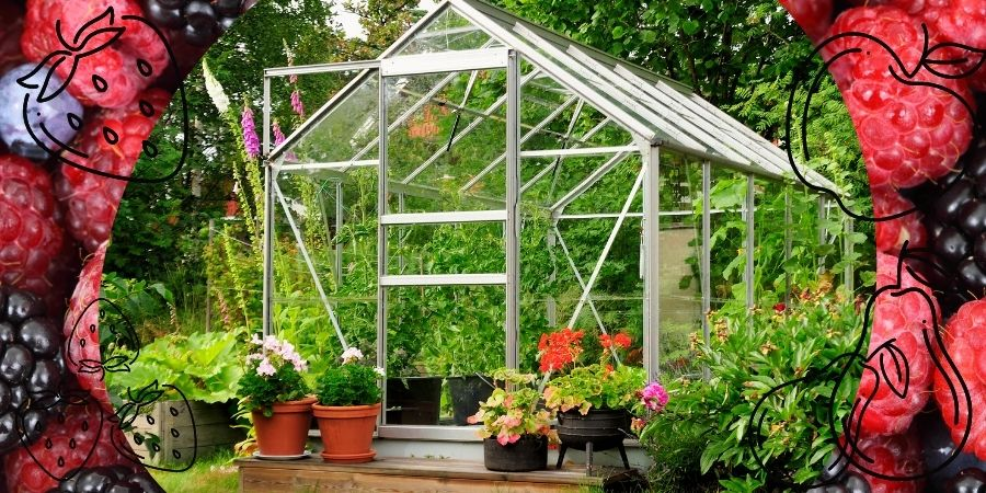 Môžete tam pestovať zeleninu a ovocie - tunely a skleníky do záhrady