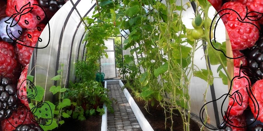 Domáci záhradný skleník